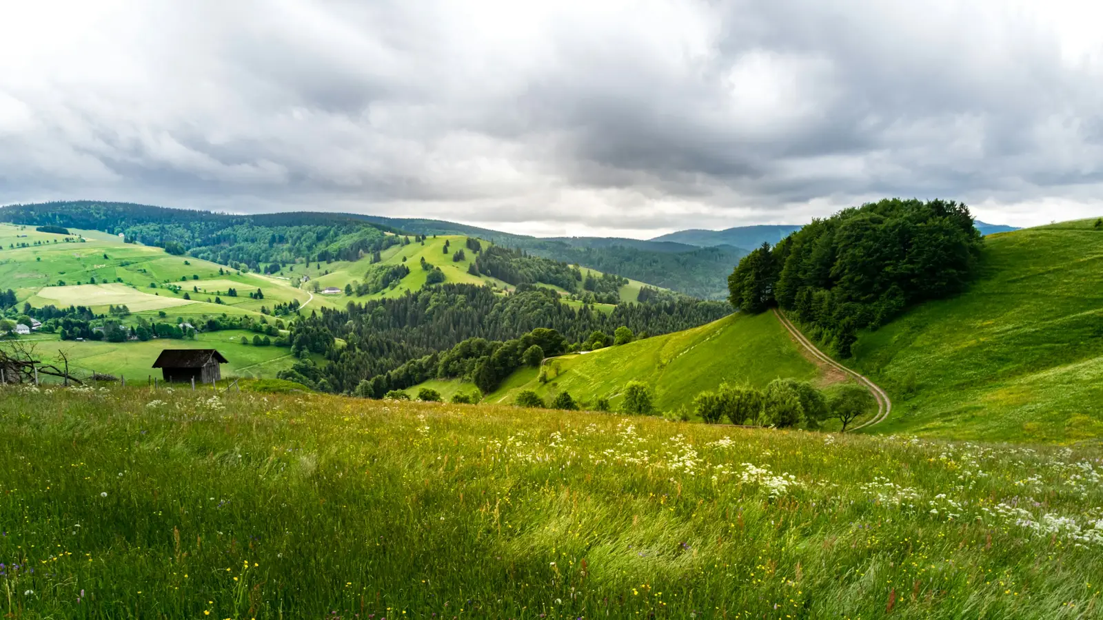 Schwarzwald