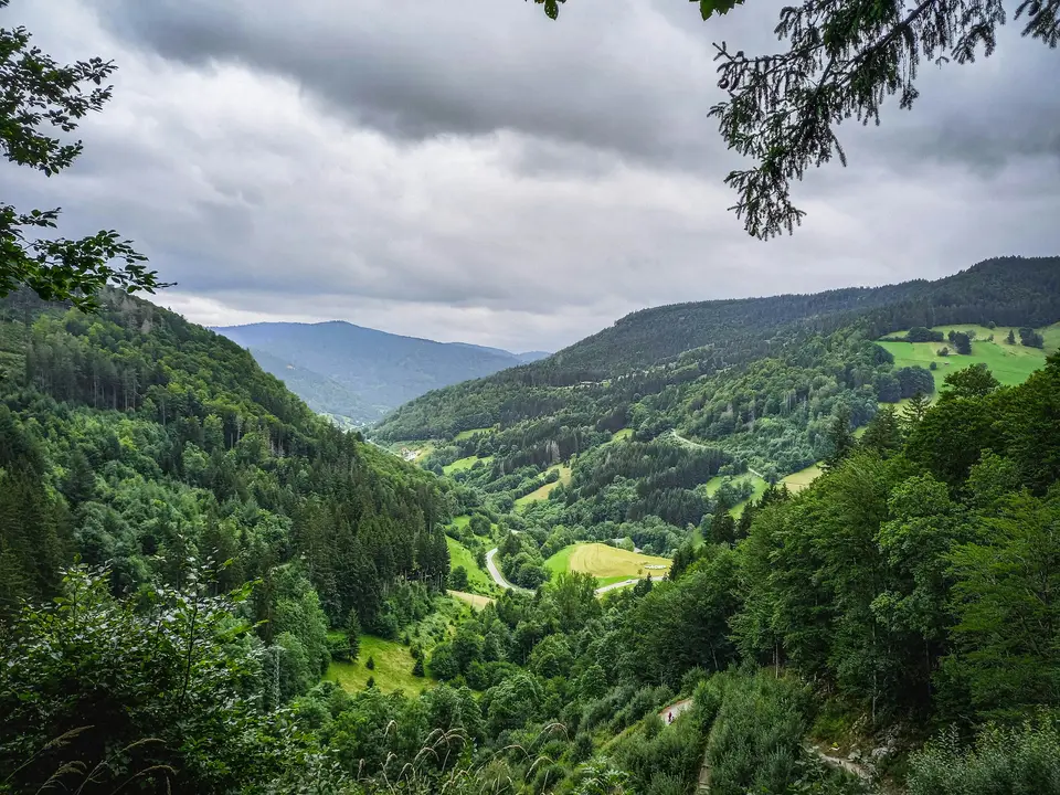 Beispielbild: Schwarzwald
