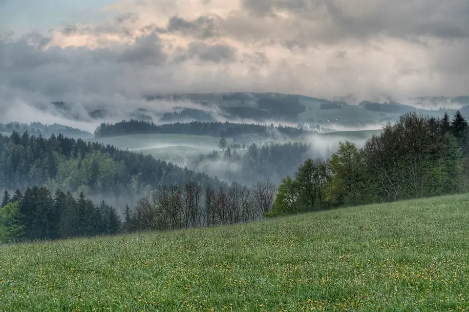 Beispielbild: Schwarzwald
