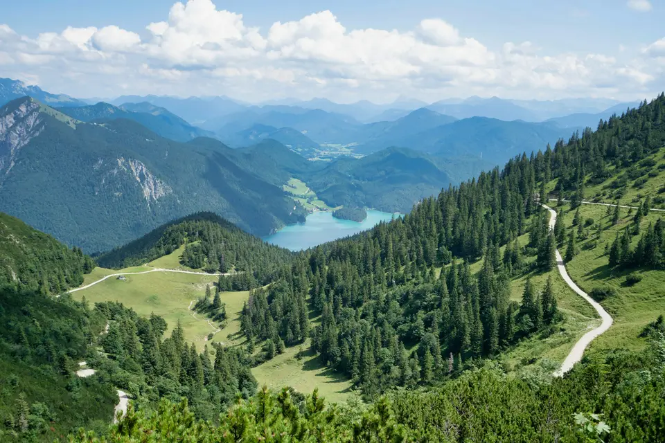 Beispielbild: Schwarzwald