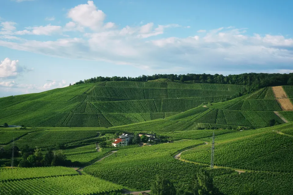 Example photograph: Stuttgart